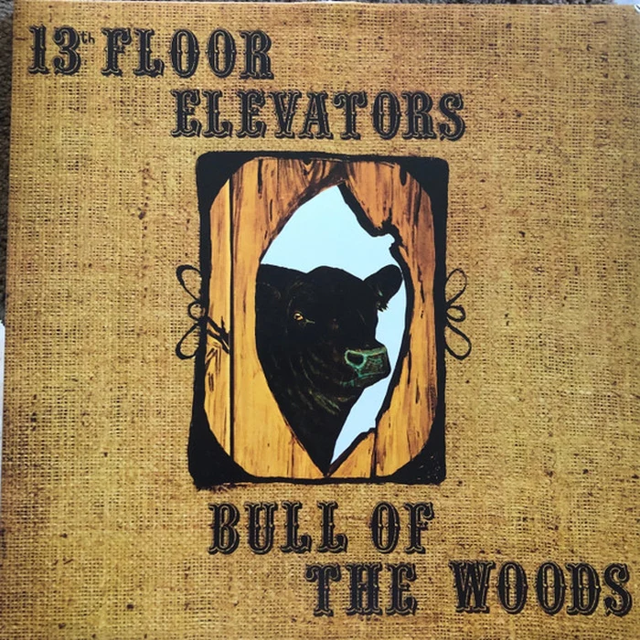 13th Floor Elevators – Bull Of The Woods (VG+/VG+)