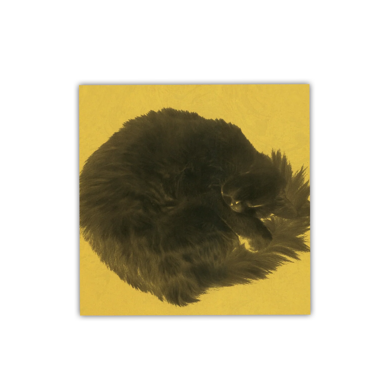 Chapterhouse – Whirlpool (White/Black Marble vinyl) - Image 4
