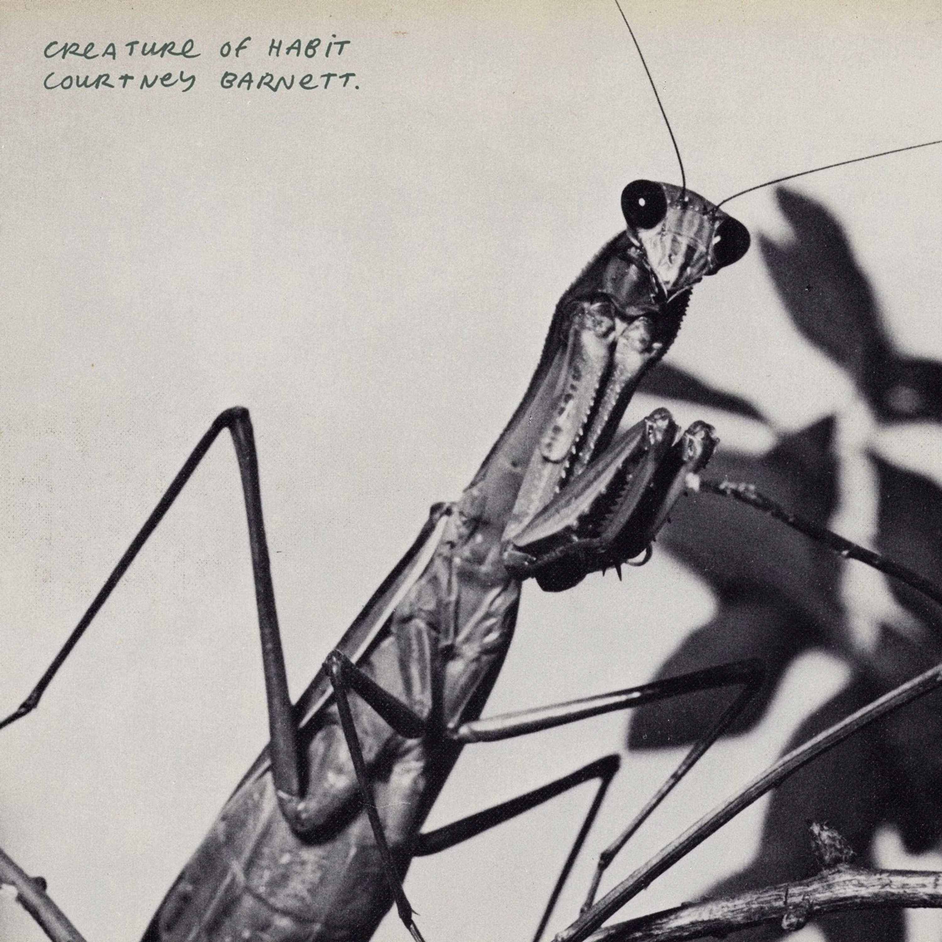 Courtney Barnett – Creature of Habit