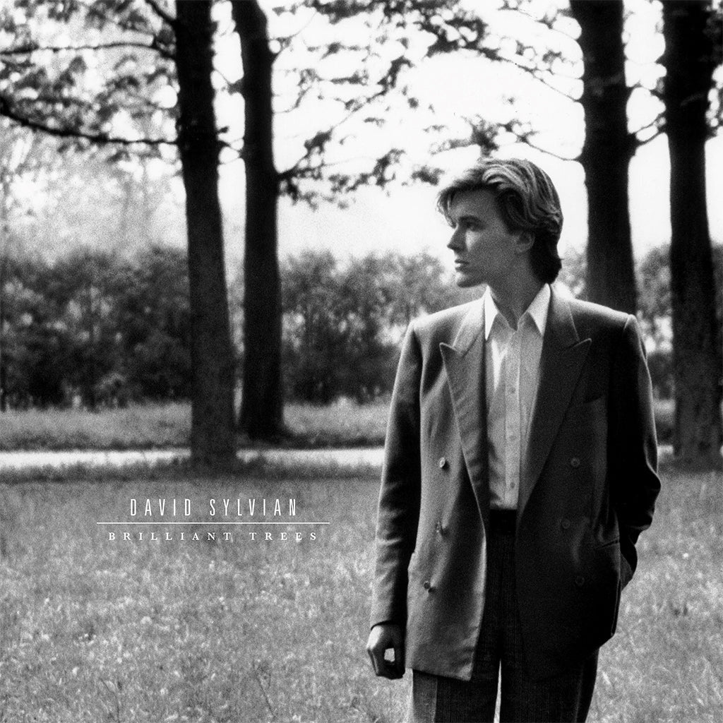 David Sylvian – Brilliant Trees