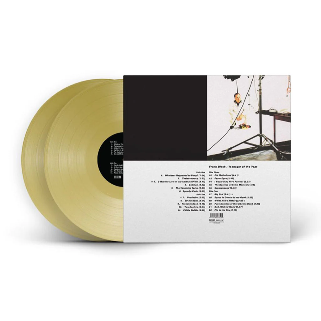 Frank Black – Teenager Of The Year (2xLP) - Image 4