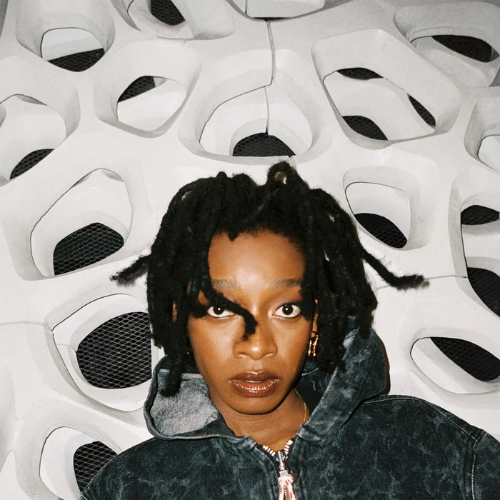 Little Simz – No Thank You (2xLP, Clear Vinyl)