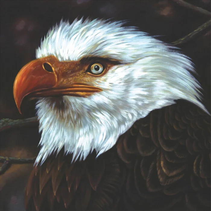 Mogwai – The Hawk Is Howling (2xLP, Anniversary Edition, White Vinyl)