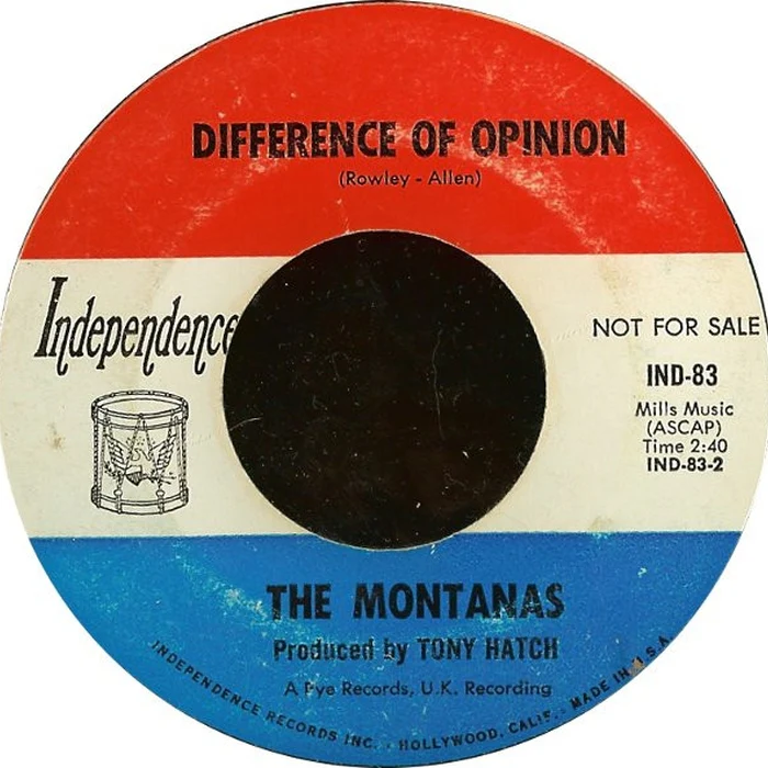 Montanas – You've Got To Be Loved (NM/Generic)