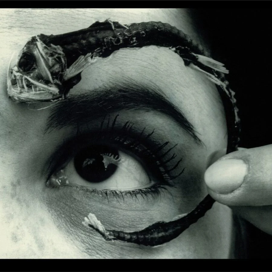 Mr. Bungle – Disco Volante (2xLP), Blue vinyl)