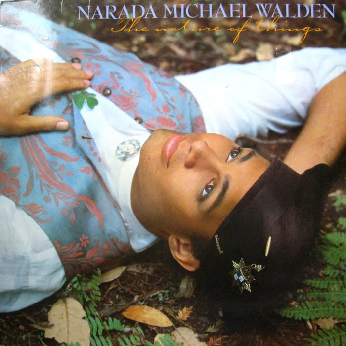 Narada Michael Walden – The Nature Of Things (VG+/VG+)