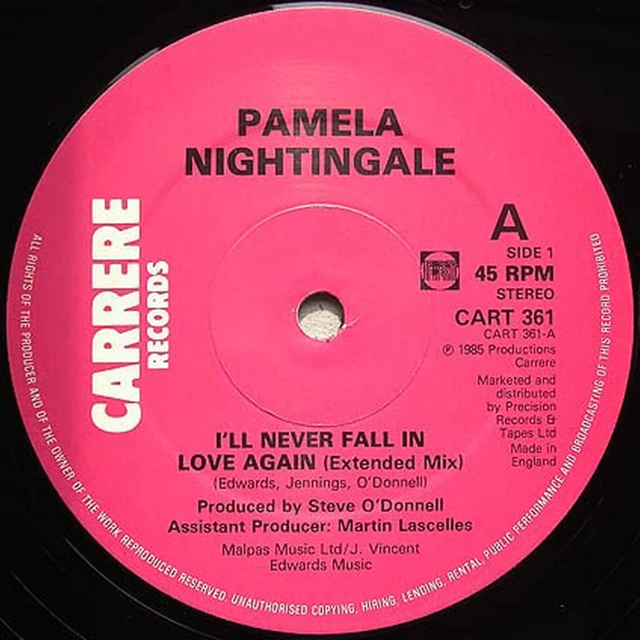 Pamela Nightingale – I'll Never Fall In Love Again (VG+/Generic)