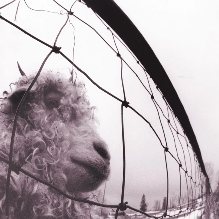 Pearl Jam – Vs.