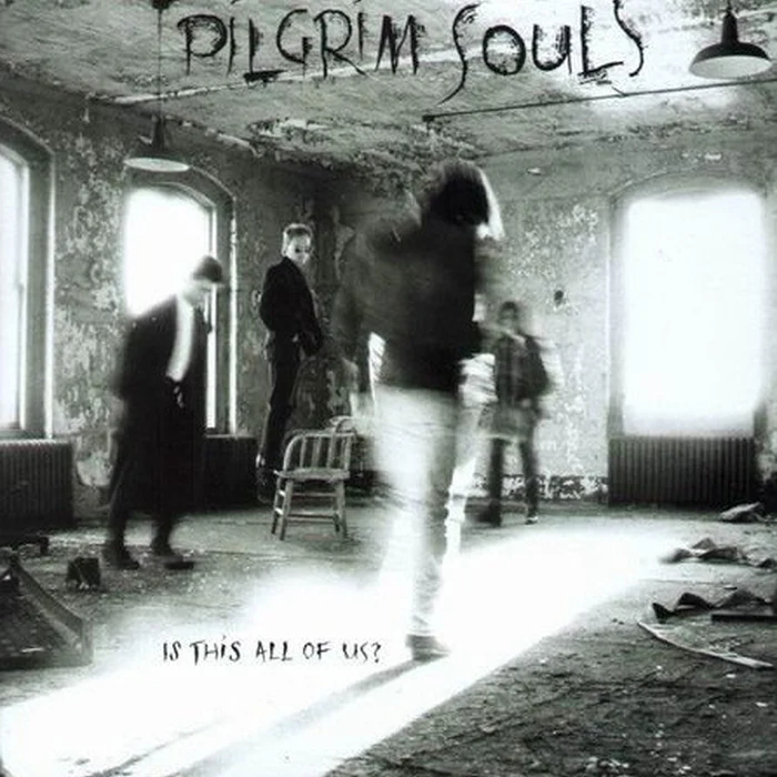 Pilgrim Souls – Is This All Of Us? (VG+/VG+)