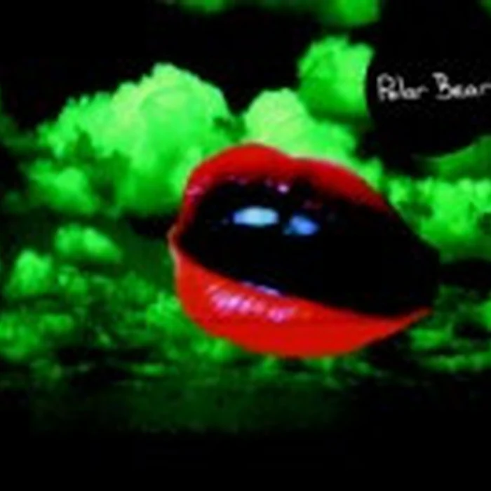 Polar Bear – Polar Bear (2xLP) (VG+/VG+)