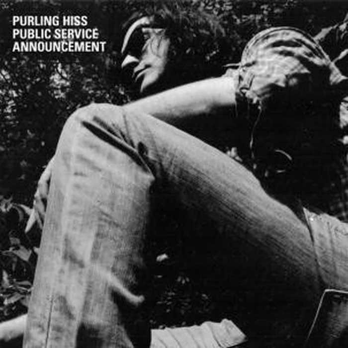 Purling Hiss – Public Service Announcement (VG+/VG+)