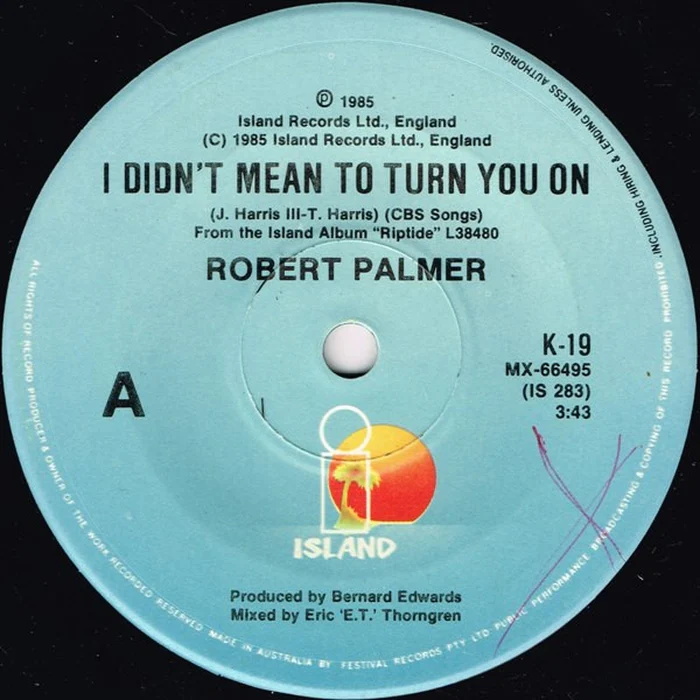 Robert Palmer – I Didn't Mean To Turn You On (VG/Generic)