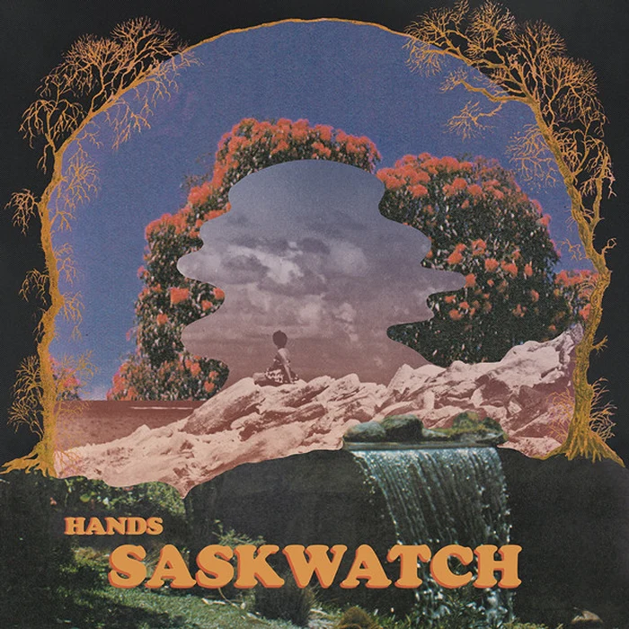 Saskwatch – Hands (VG+/VG+)
