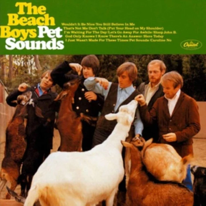 The Beach Boys – Pet Sounds (200g Mono Analogue Productions)