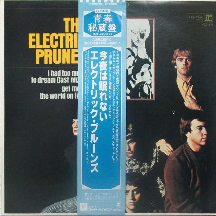 The Electric Prunes – The Electric Prunes (VG/VG+)