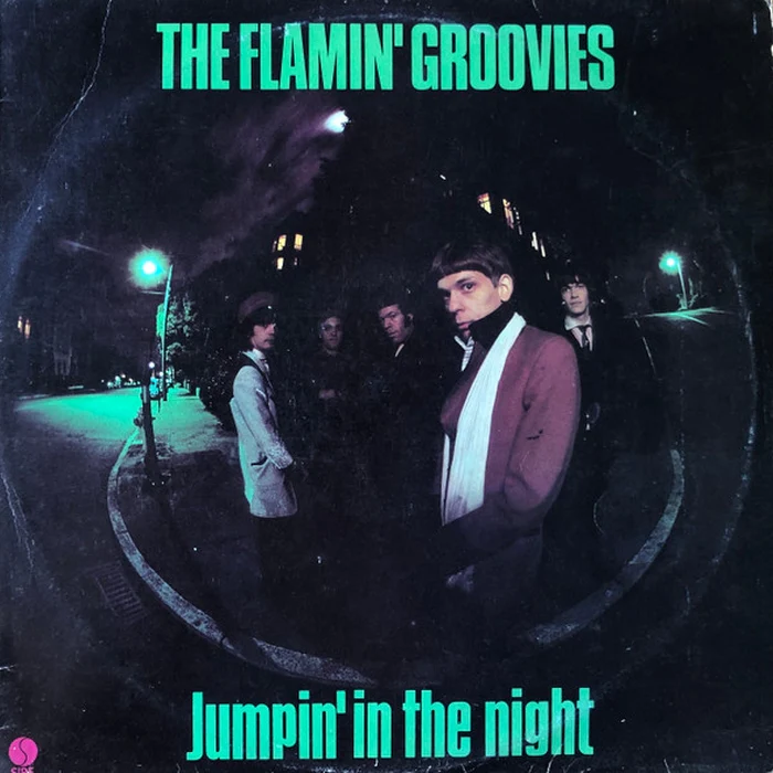 The Flamin' Groovies – Jumpin' In The Night (VG+/VG)