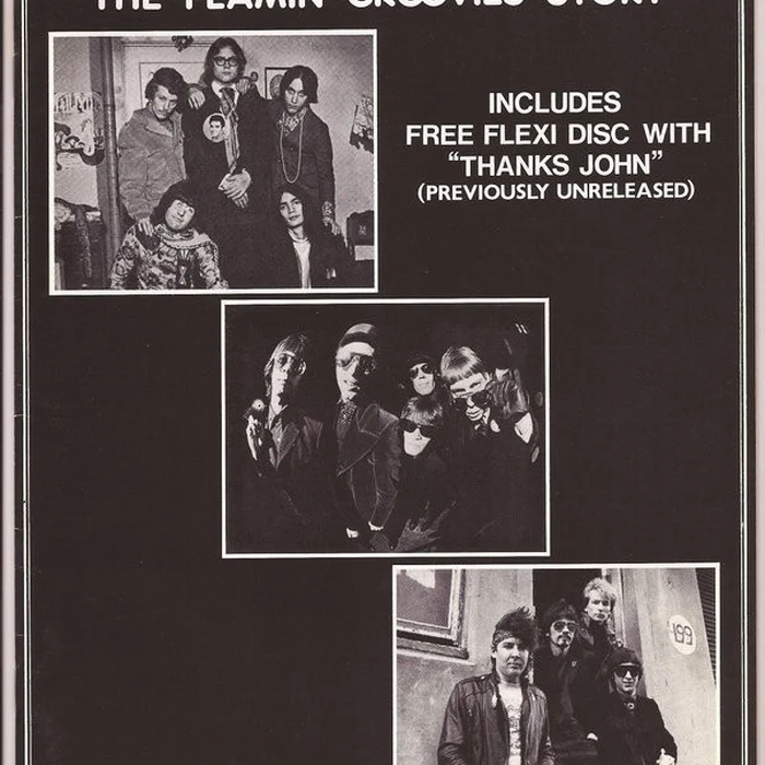 The Flamin' Groovies – Thanks John (VG/No Cover)