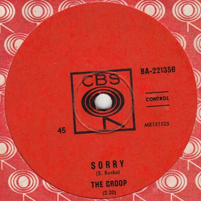The Groop – Sorry / Who Do You Love (VG+/Generic)
