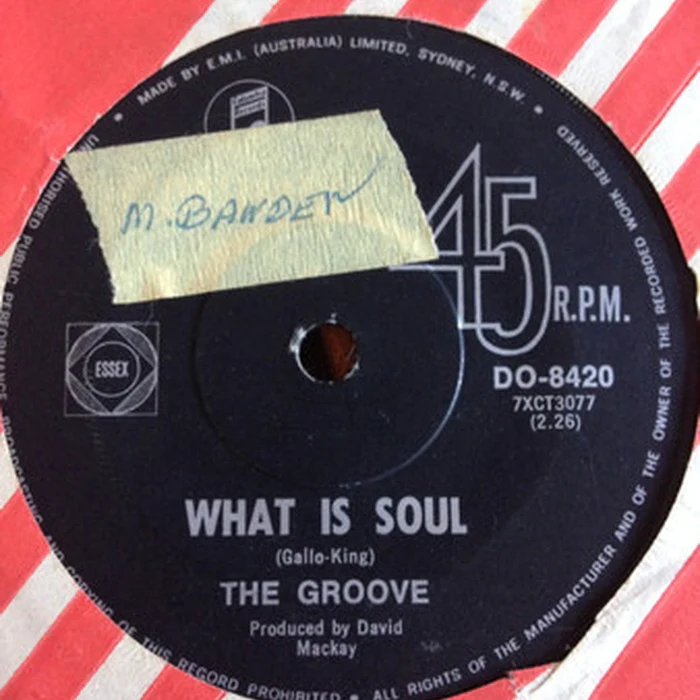 The Groove – What Is Soul (VG/Generic)