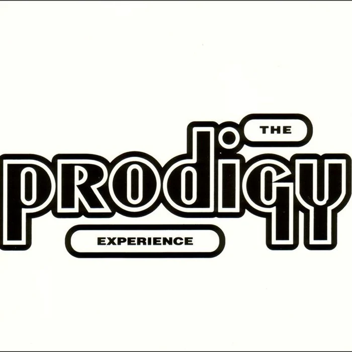 The Prodigy – Experience (2xLP)
