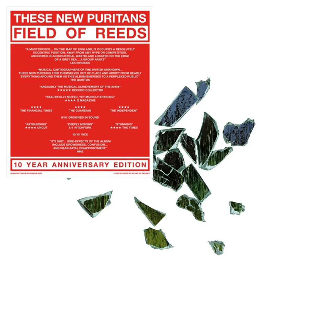 These New Puritans – Field Of Reeds (2xLP)