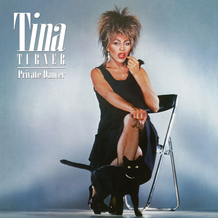 Tina Turner – Private Dancer