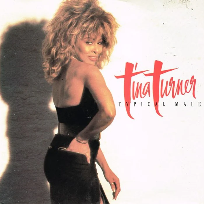 Tina Turner – Typical Male (E/E)