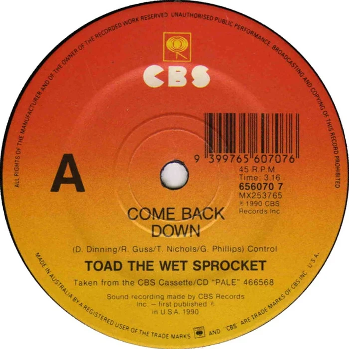 Toad The Wet Sprocket – Come Back Down (VG+/Generic)