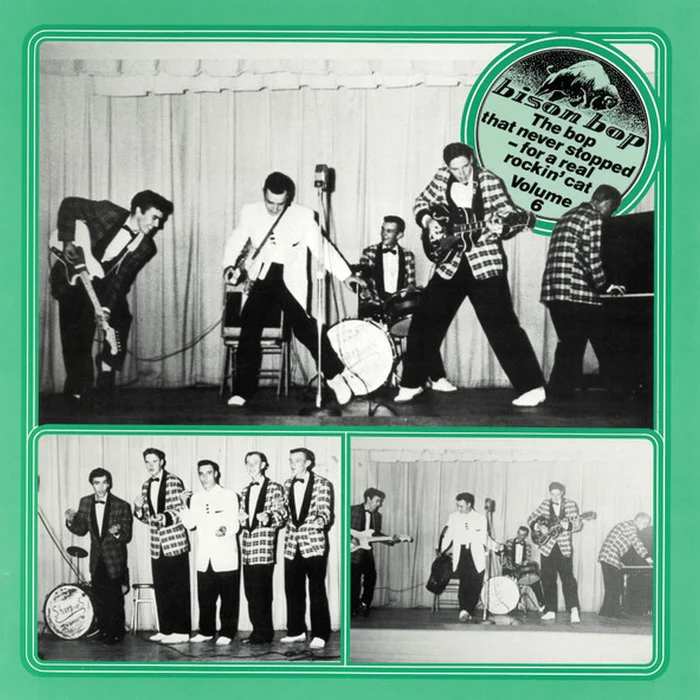 Various – Bison Bop: The Bop That Never Stopped - For A Real Rockin' Cat Volume 6 (VG/VG+)