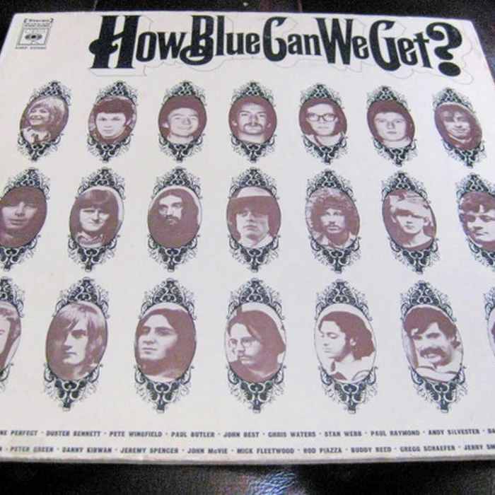 Various – How Blue Can We Get? (2xLP) (VG+/VG+)