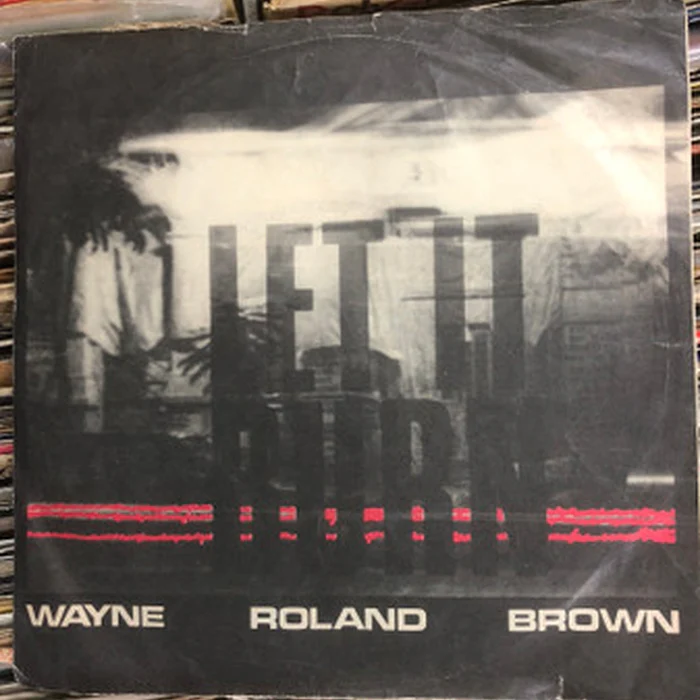 Wayne Roland Brown – Let It Burn (VG+/VG)